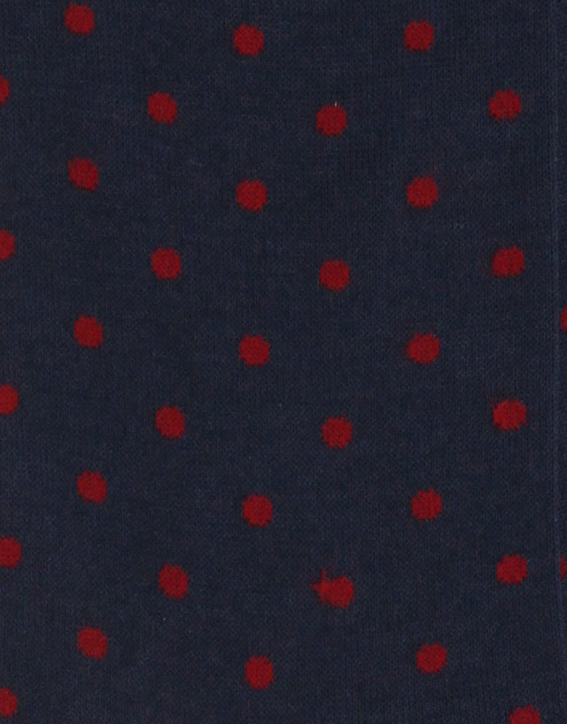 Navy & Red Polka Dot Socks